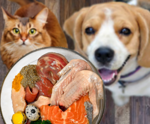 mejores alimentos comida para perros y gatos - mascotas