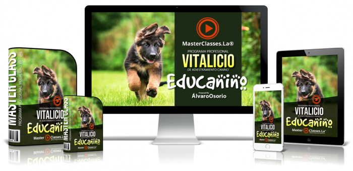 programa profesional vitalicio de adiestramiento canino - educanino